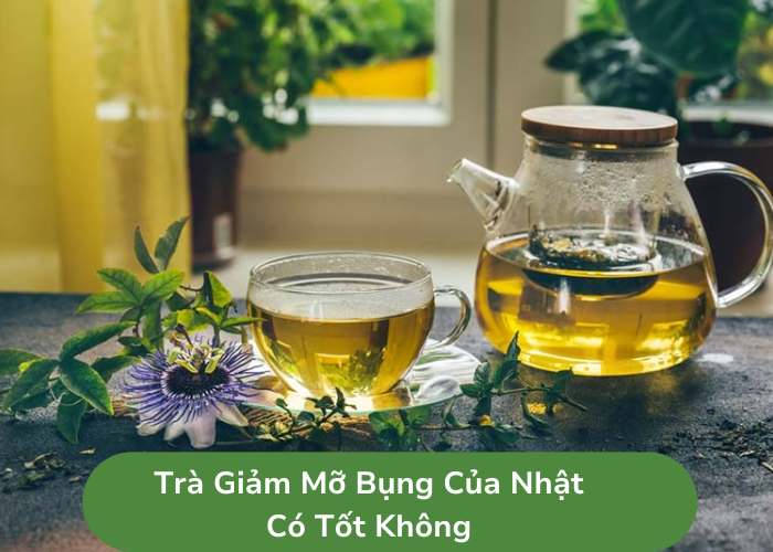 Trà Giảm Mỡ Bụng Của Nhật Có Tốt Không