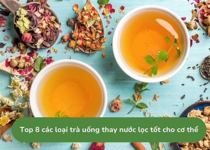 Các loại trà uống thay nước lọc