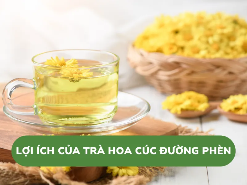 Lợi ích của trà hoa cúc đường phèn