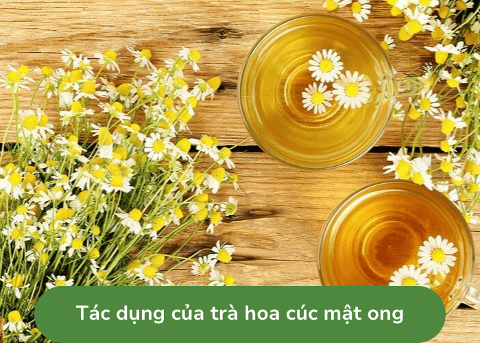 Tác dụng trà hoa cúc mật ong bạn nên biết