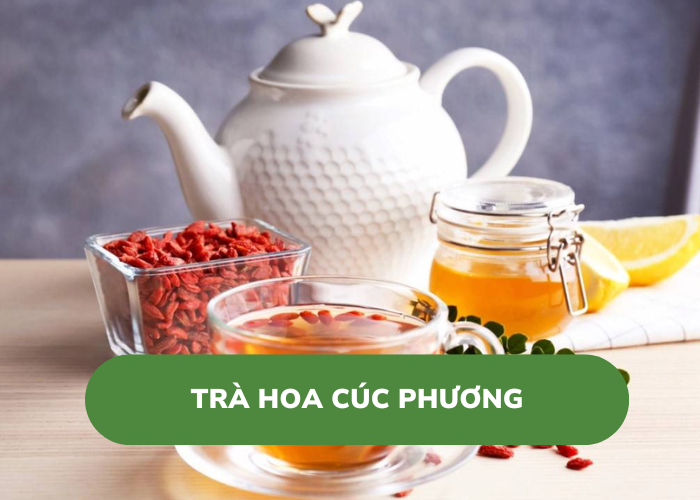 trà hoa cúc phương