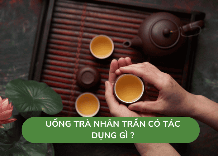 Uống Trà Nhân trần Có Tác Dụng GÌ ?