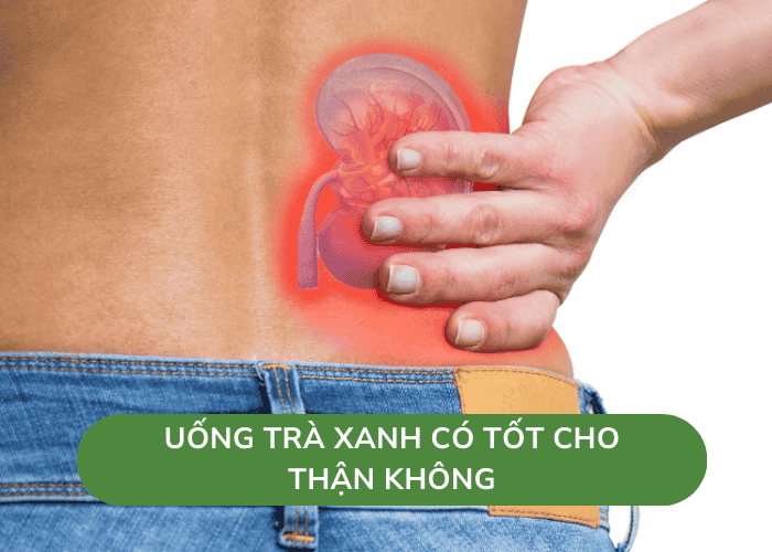 uống trà xanh có tốt cho thận không