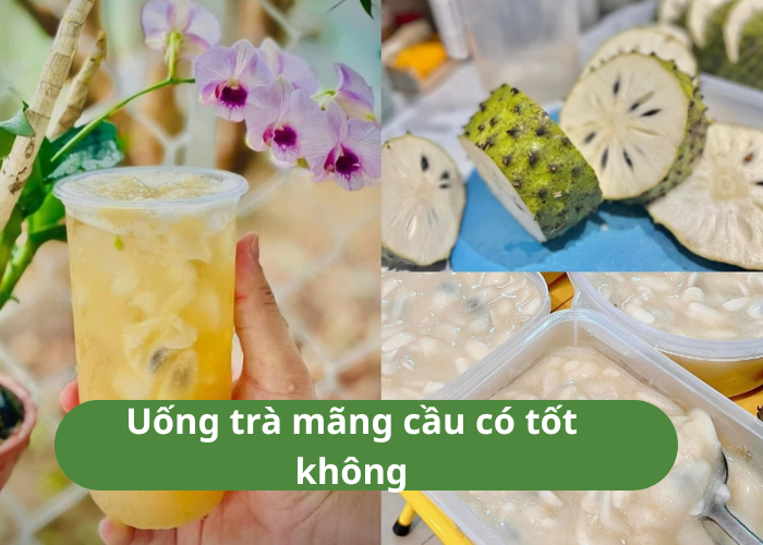 Uống Trà Mãng Cầu Có Tốt Không?