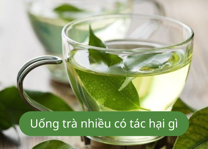 Uống trà nhiều có tác hại gì?