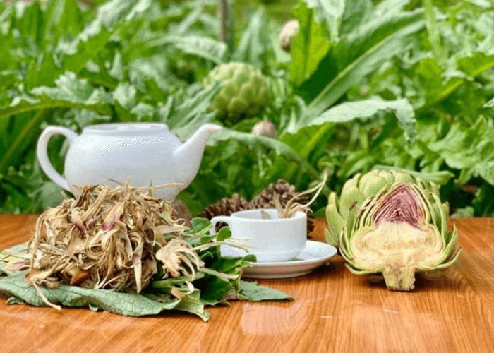 Lợi ích mà trà atiso mang lại cho bạn 