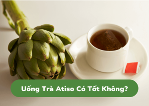 Uống Trà Atiso Có Tốt Không