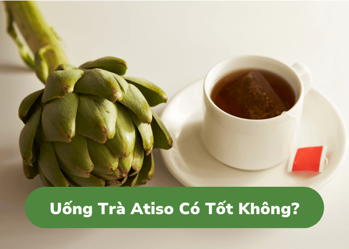 Uống Trà Atiso Có Tốt Không