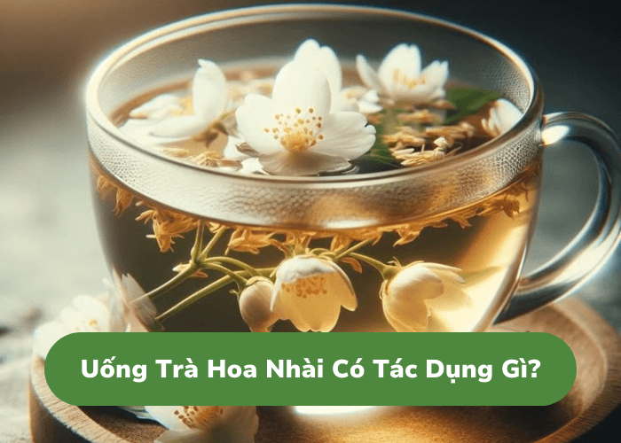 uống trà hoa nhài có tác dụng gì? khám phá 13 lợi ích tuyệt vời cho sức khỏe và sắc đẹp