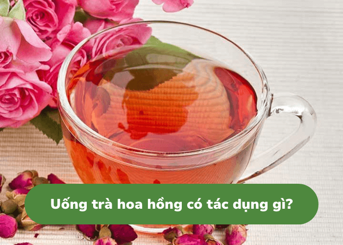 trà hoa hồng có tác dụng gì? lợi ích sức khỏe và cách sử dụng đúng cách