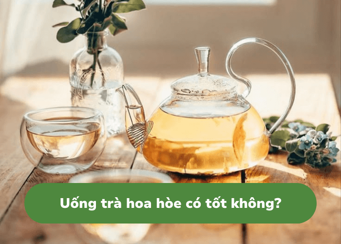 uống trà hoa hòe có tốt không? toàn cảnh lợi ích, tác dụng phụ và cách dùng đúng chuẩn
