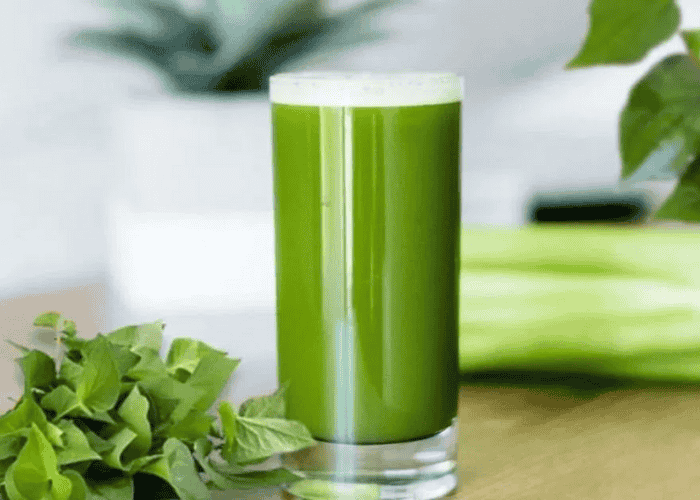 Uống trà diếp cá có tác dụng gì 