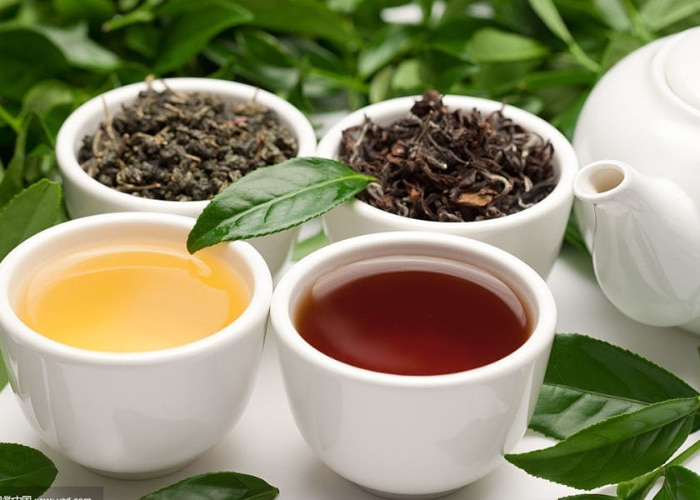 Cách nhận biết trà hết hạn